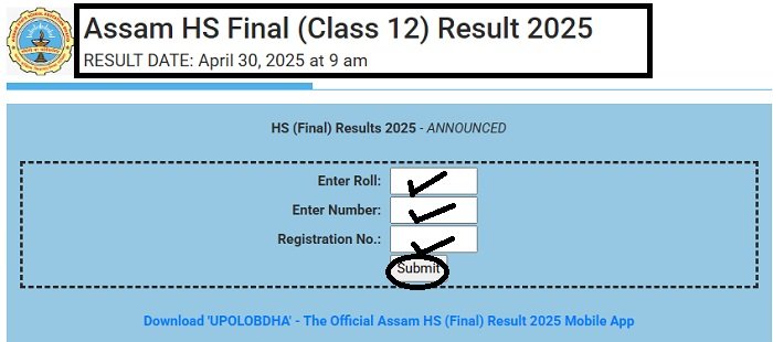 HS Scooty Percentage 2025