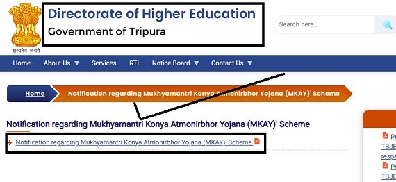 Mukhyamantri Konya Atmonirbhor Scheme